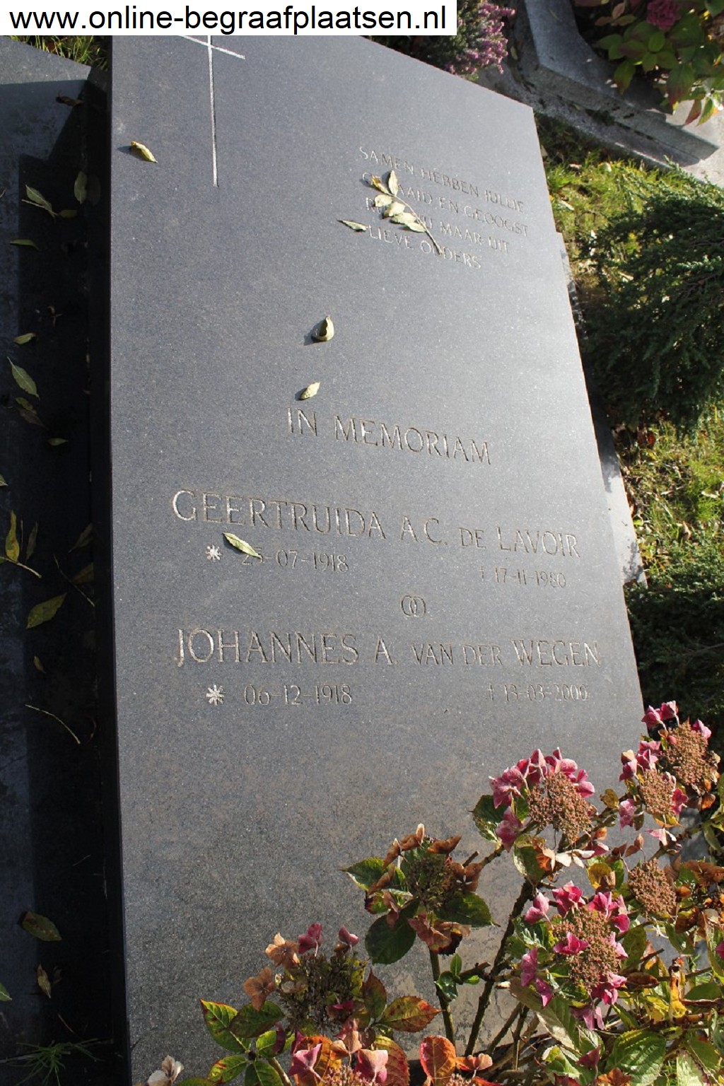 quma0032005004.jpg