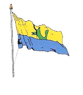 dorpsvlag_nieuw_vossemeer.jpg