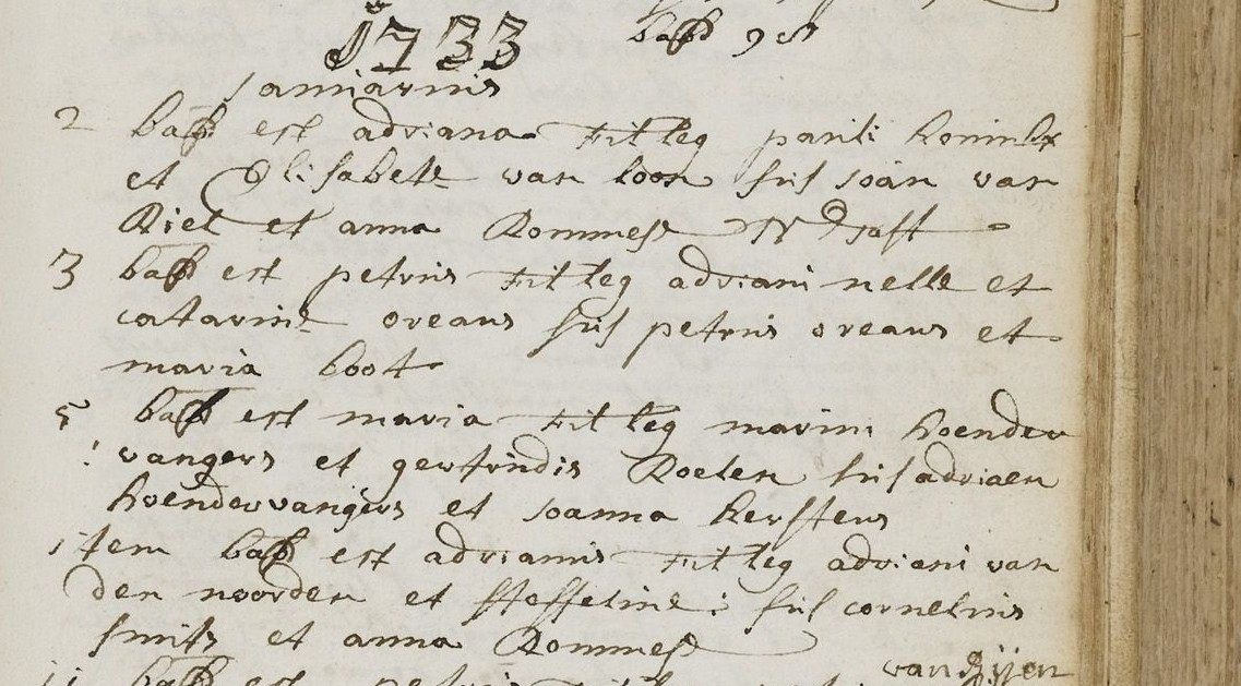 hoendervangers_maria_05-01-1733_geboorteakte.jpg