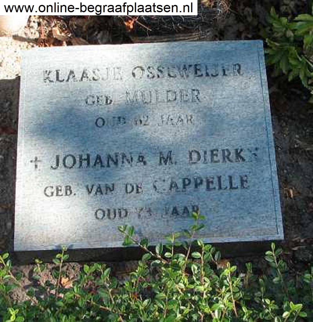 cappelle_johanna_maria_van_de_08-11-1879_begraafsteen.jpg