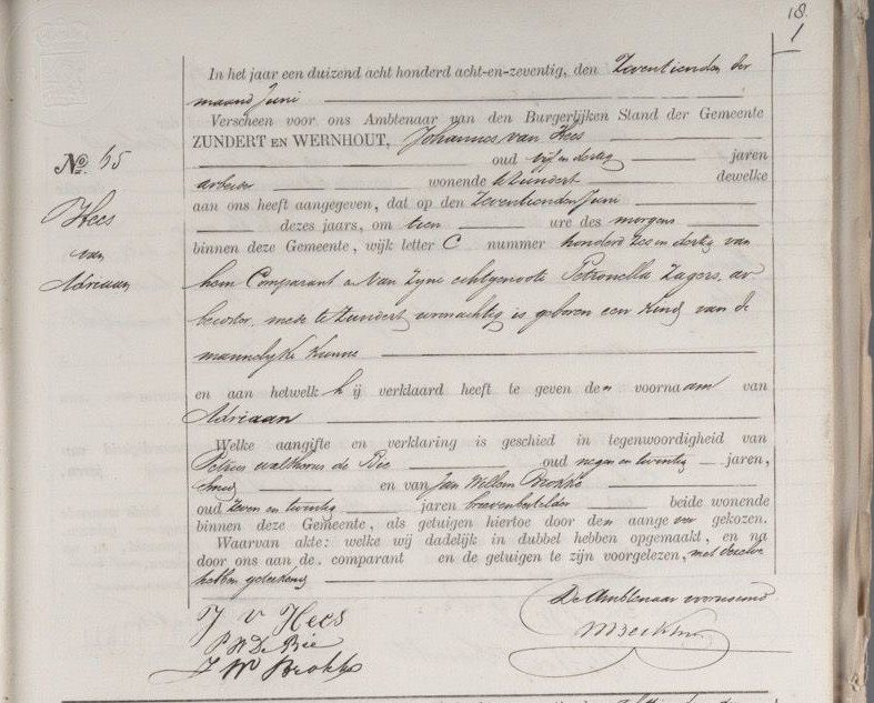 geboorteakte_adriaan_van_hees__1878_.jpg